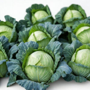 5kg of Cabbage